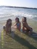 solntse
