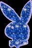 4ivas_ml