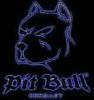 pit_bull.