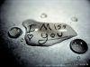 tears_and_blood
