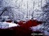 i_am~edeath