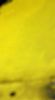 konkyrs