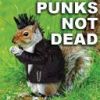 punk_not_dead