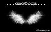 lis@
