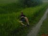 leshu