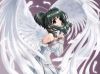 sacura