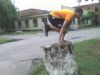 zprorokz
