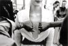 andrea-ross