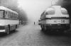 andrea-ross