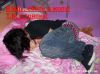 emo-boy)
