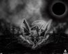 dead_dream