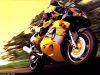 night_rider