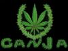 cpl_pro