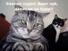 bumer