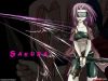 dark_samurai