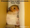 всегда_скучающий