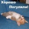 maks3