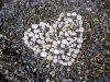 rity
