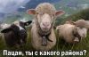 oleg_kozlov
