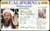 terrorist