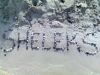 sheleks