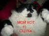 mixi0n)