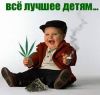bookmaker