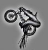 bike-strit-trial