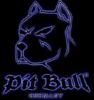pitbull