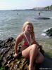 nicol