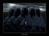 saga_of_dark
