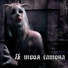 saga_of_dark