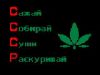 vip4elz