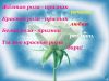 svet@