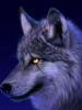 wervolf