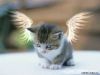 little_one
