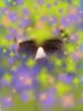 nowhereman