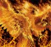 fenix