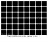 dambldor
