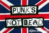 punkysha