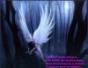 sun_angel