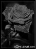 sorrow_