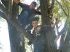 viron