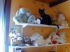 juliya_0707