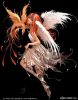 wild~angel