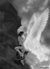 ramashka_viangel
