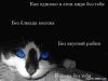 epsy