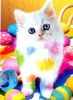 colourful~))