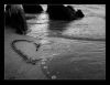 loveli