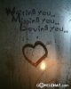 black_sw@llow